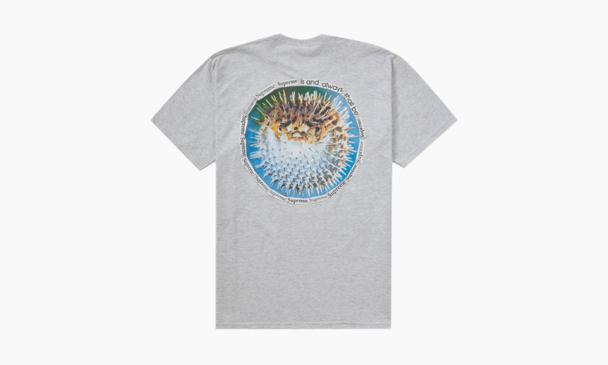 Supreme Blowfish Tee “Ash Grey”