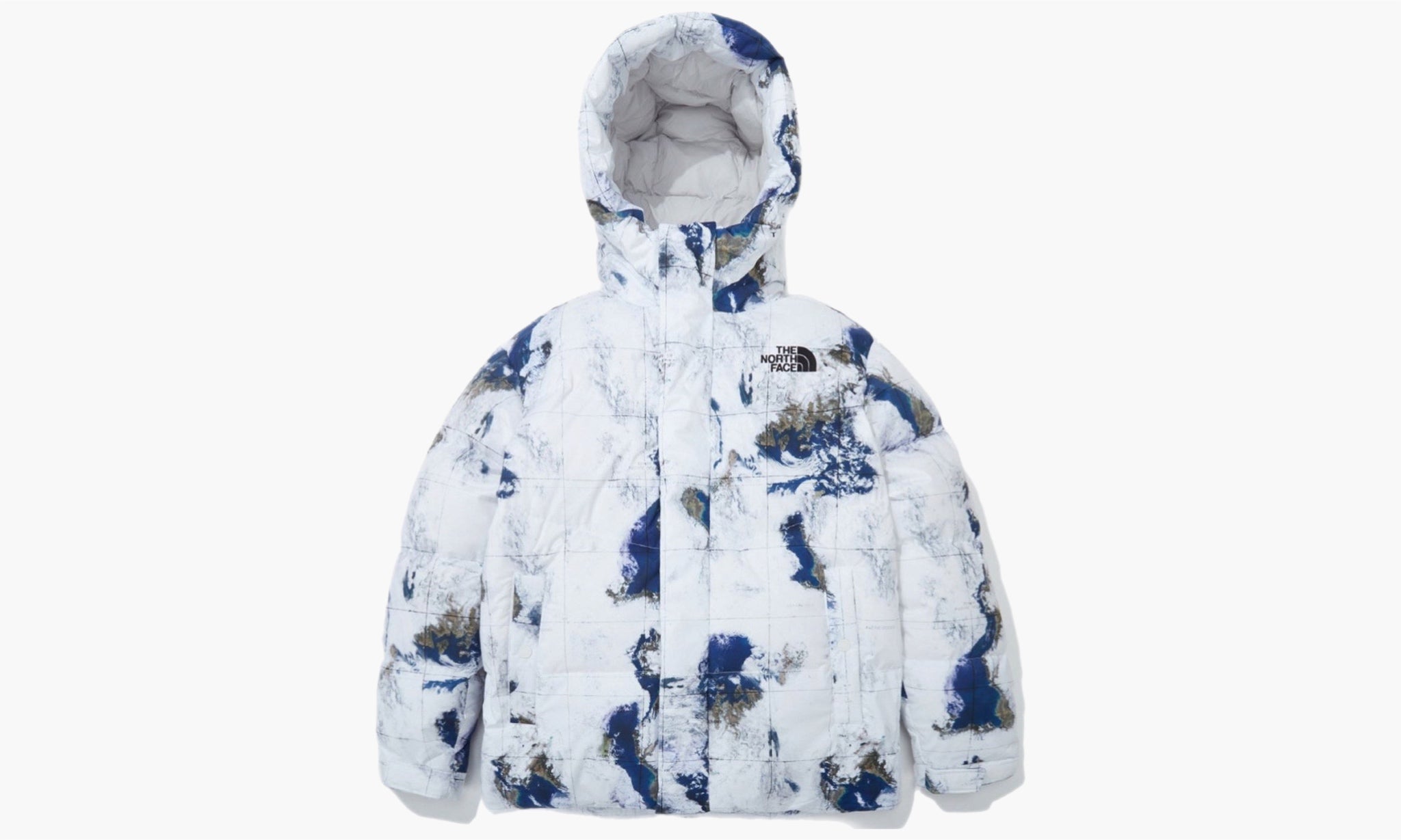 The North Face White Label Novelty Free Move Down Jacket